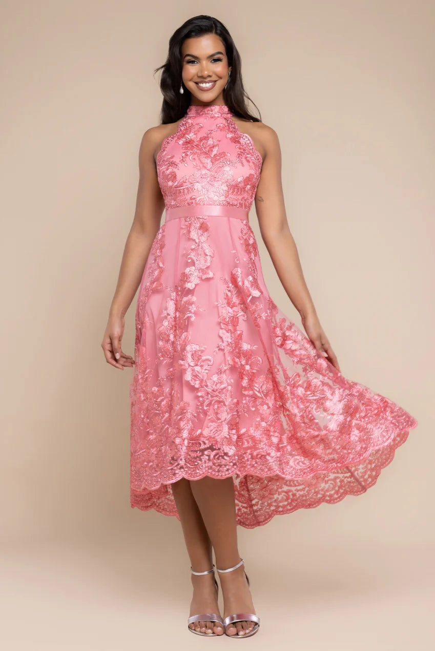 Midi dresses with keyhole backs for a flirty and unexpected detail Goddiva Halter Neck Lace High And Low Dress - Coral Midi dresses with keyhole backs for a flirty and unexpected detail Goddiva Halter Neck Lace High And Low Dress - Coral