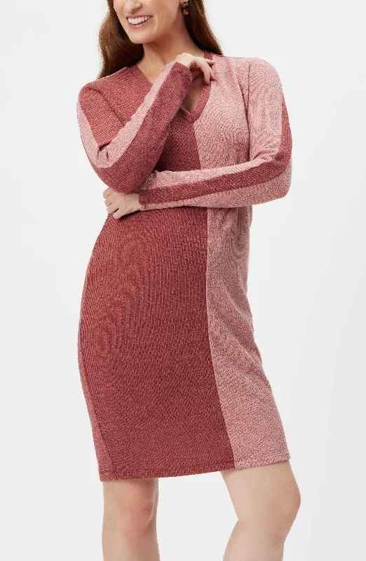 Maternity dress for a baby's first visit to the bird sanctuary Colorblocking Maternity Sweater Dress