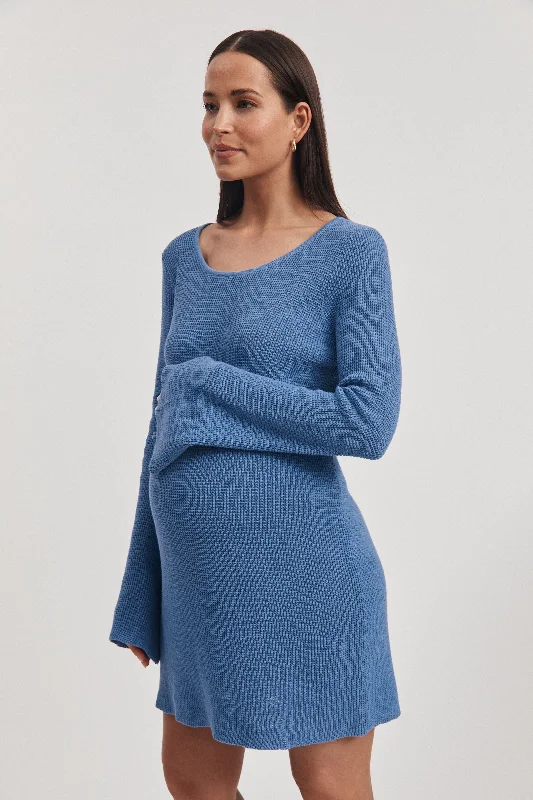 Maternity dress for a baby's first visit to the rose garden Sabine Crochet Mini Dress (Blue)